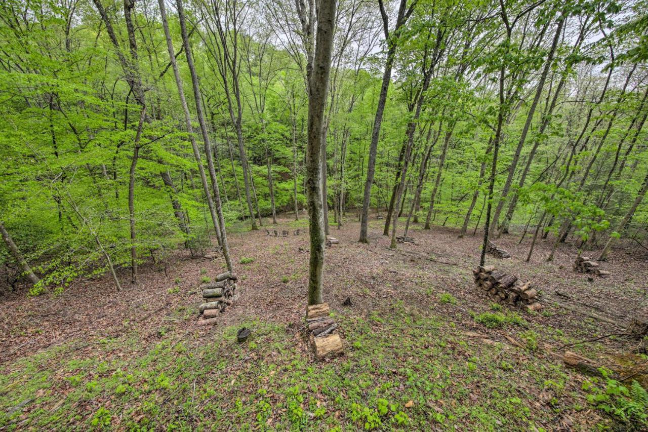 Peaceful Blue Ridge Cabin With Decks And Fire Pit Luaran gambar